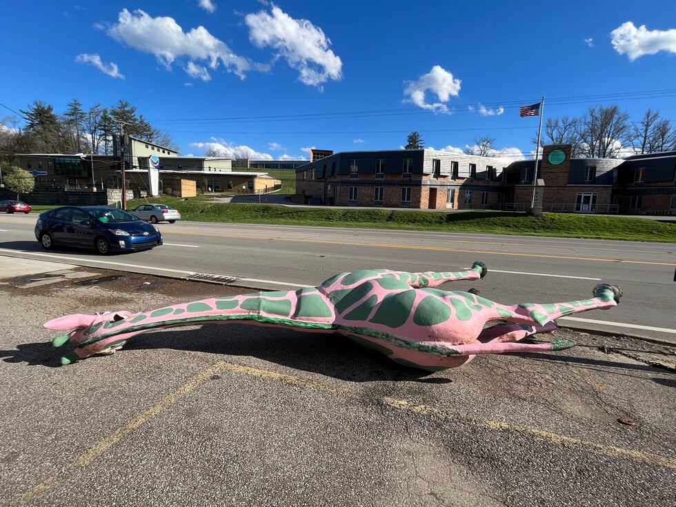A giraffe was knocked over along Route 60 in Cabell County due to high winds.