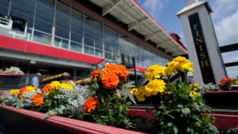 Flowers adorn an area near the finish line ahead of the Preakness Stakes horse race at Pimlico...