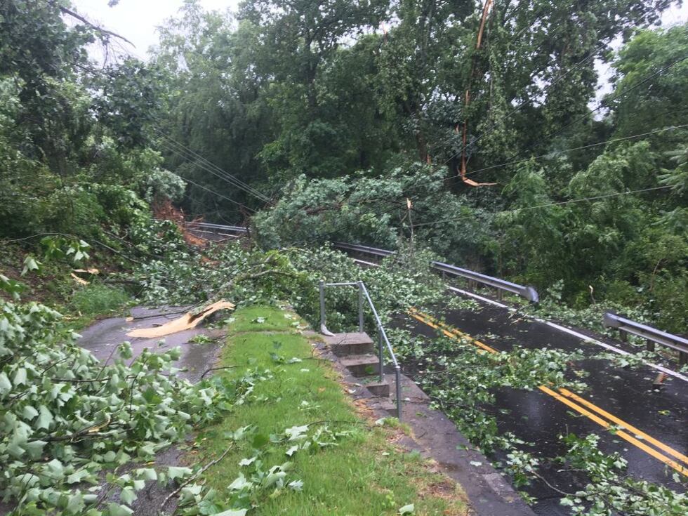 Tree limbs fell on power lines on Friday in Williamson, West Virginia. (WSAZ)