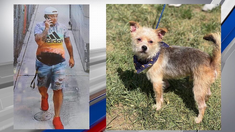 Huntington Police arrested Kara Gibson after she allegedly took a dog after it had been...