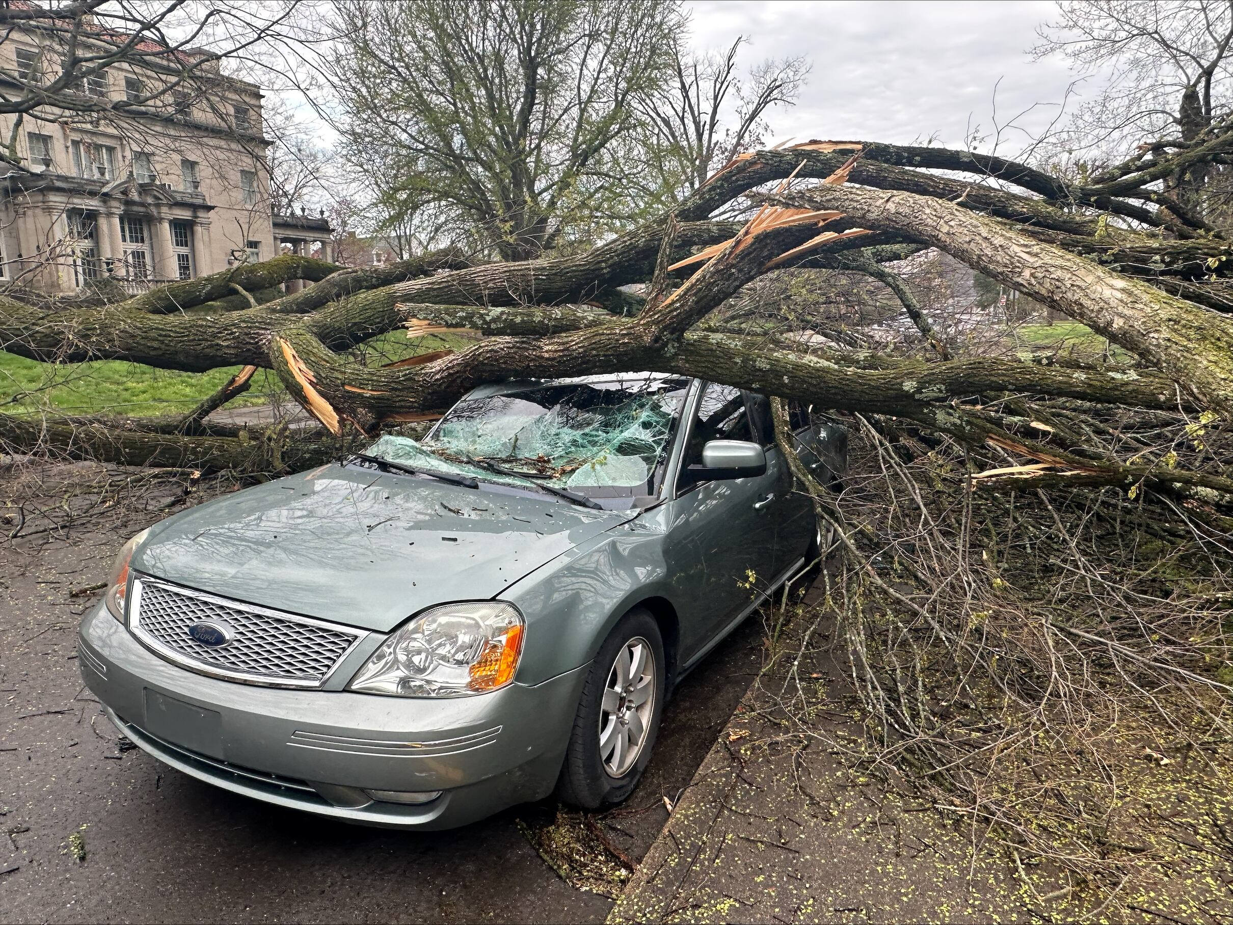 Emergency management warns of scams targeting victims of April 2 severe weather - Vimarsana News