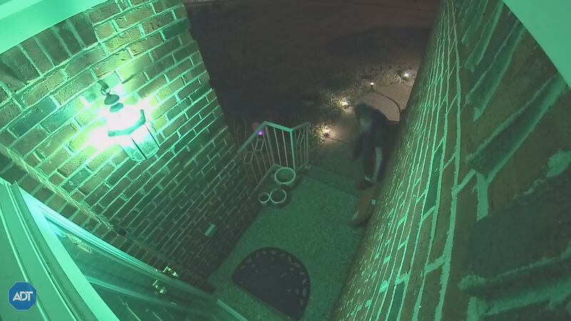 Security video shows a person stealing a package.