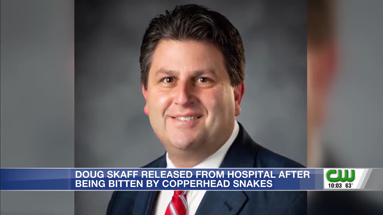 Political candidate released from hospital after venomous snake bites - Vimarsana News